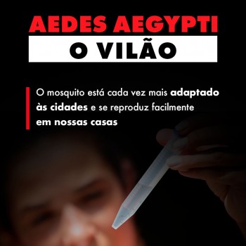 Aedes Aegypti - O Vilão